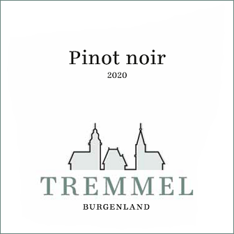 Pinot Noir 2020, trocken / 0,75l
